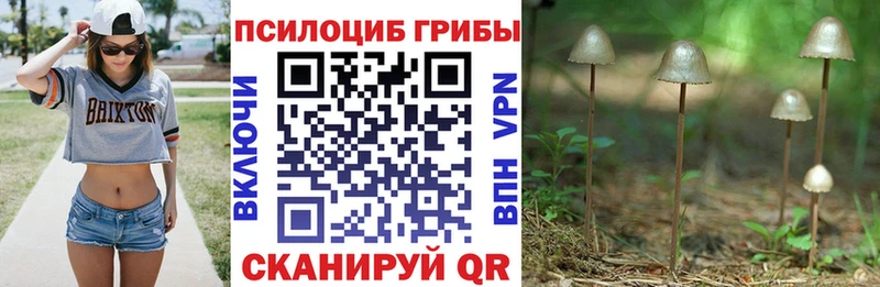 Галлюциногенные грибы прущие грибы  Усолье 